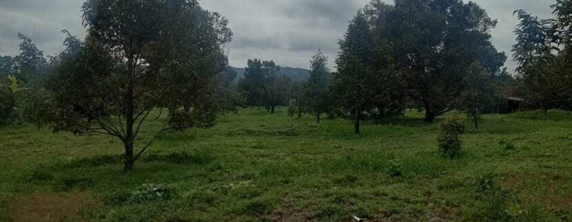 photo_2020-10-09_12-00-40