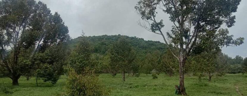 photo_2020-10-09_12-00-41