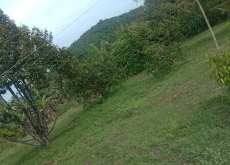 photo_2020-10-09_12-00-42