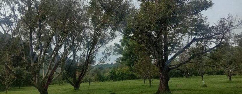 photo_2020-10-09_12-00-44