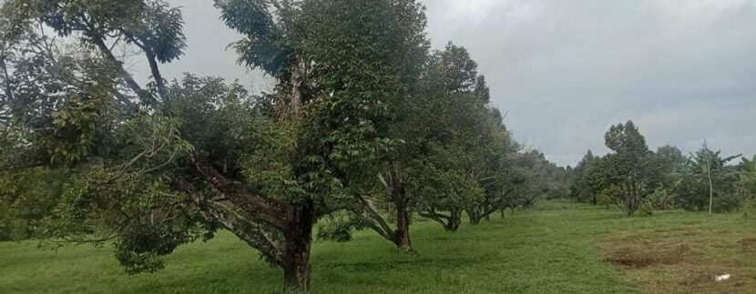 photo_2020-10-09_12-00-45