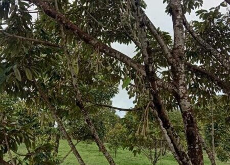 photo_2020-10-09_12-00-48