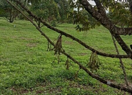 photo_2020-10-09_12-00-50