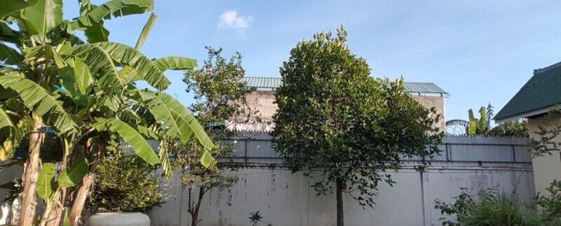 photo_2020-10-17_11-53-13