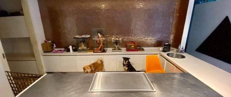 photo_2021-03-17_15-10-06