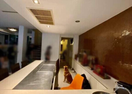 photo_2021-03-17_15-10-15