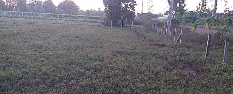 photo_2020-11-13_17-43-40