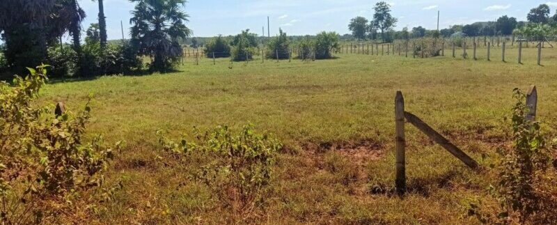 photo_2020-11-13_19-54-18