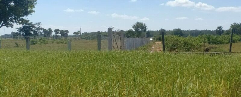 photo_2020-11-24_10-38-16 (2)