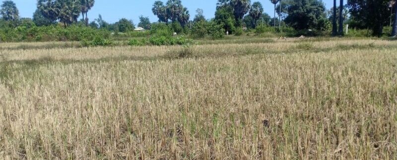 photo_2020-11-24_10-38-16