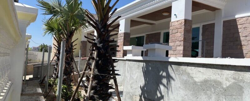 photo_2020-12-07_08-04-02 (2)