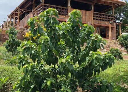 photo_2020-12-21_14-23-44