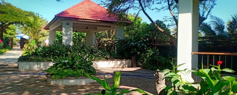 photo_2021-01-13_11-41-17