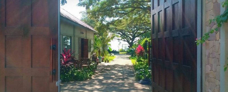 photo_2021-01-13_11-41-23