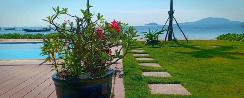 photo_2021-01-13_12-23-12