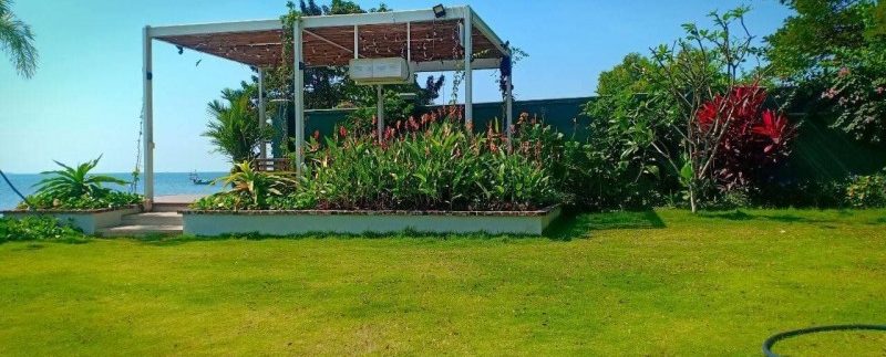 photo_2021-01-13_12-23-18