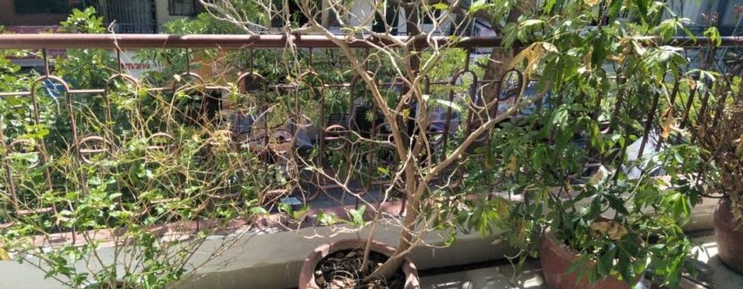 photo_2020-12-17_19-33-55 (3)