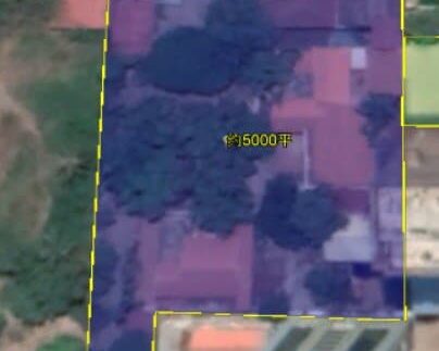 photo_2021-02-01_03-47-12