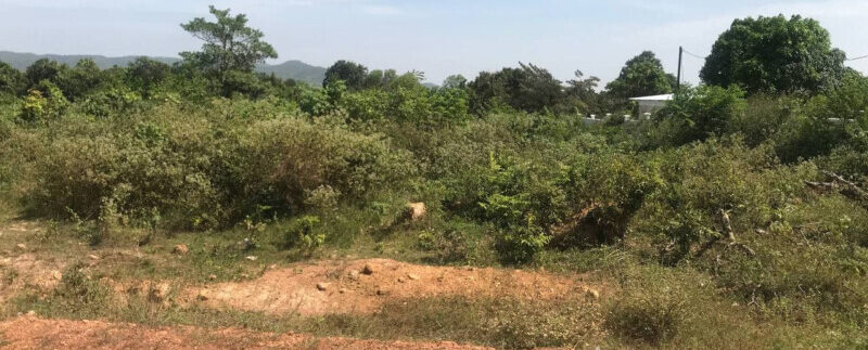 157669077_3041822569380280_9184462851361104570_o