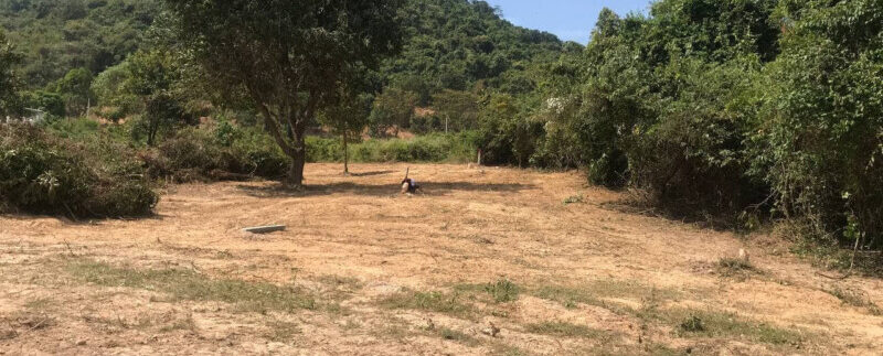 157793831_3041822596046944_2667496326736385236_o