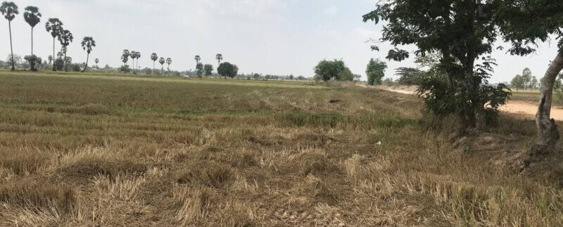 158441815_3041924319370105_1533429032041811315_o