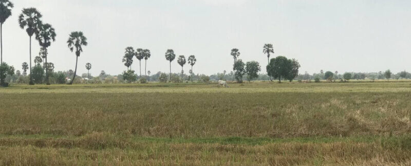 158605220_3041924349370102_15524457406162184_o