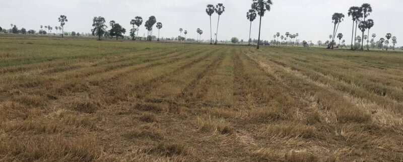 158940919_3041924432703427_7421498277449881448_o