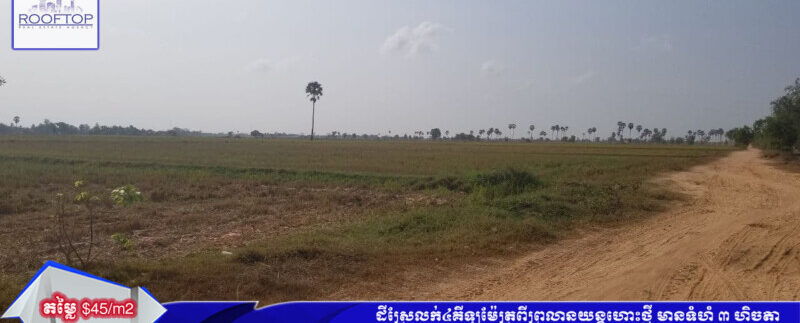 159019330_3041873129375224_1274452237914136236_o