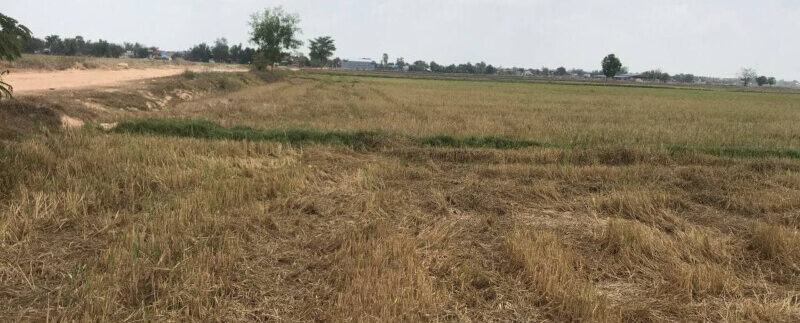 159115213_3041924386036765_6599063138304305787_o