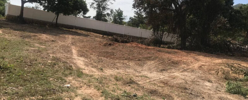 159201912_3041822922713578_7983376287981431531_o