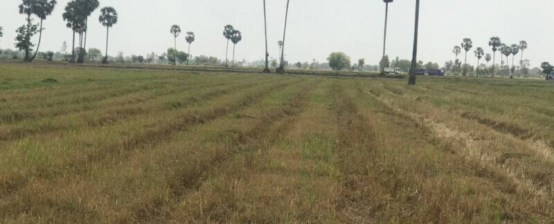 159263552_3041924266036777_6569117397597807503_o