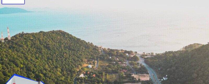 photo_2021-03-06_10-47-05