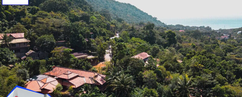 photo_2021-03-06_10-47-18