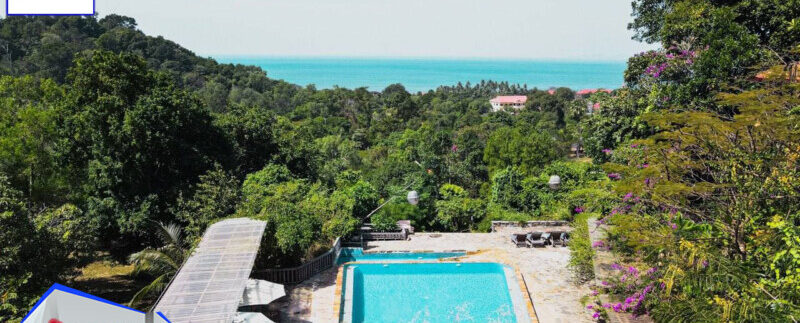 photo_2021-03-06_10-47-41