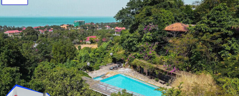 photo_2021-03-06_10-48-02