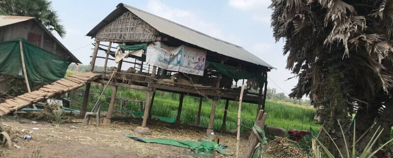 photo_2021-03-09_13-34-27