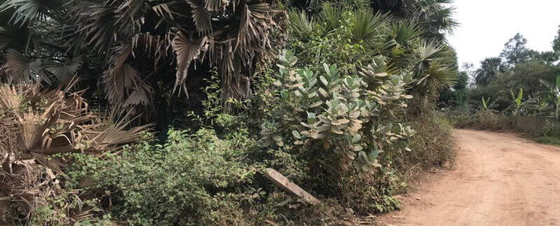 photo_2021-03-09_13-34-31