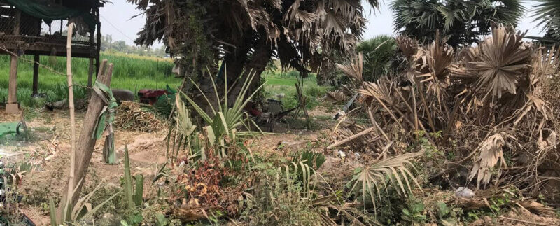 photo_2021-03-09_13-34-33