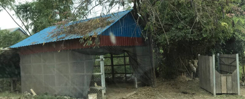 photo_2021-03-09_13-47-23