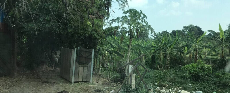 photo_2021-03-09_13-47-47