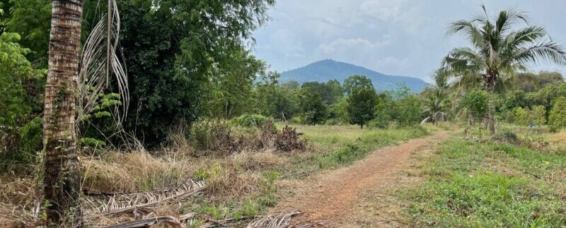 photo_2021-05-04_09-22-31