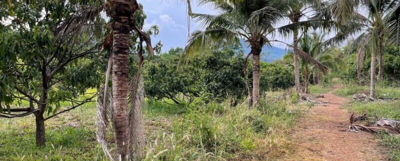 photo_2021-05-04_09-22-32