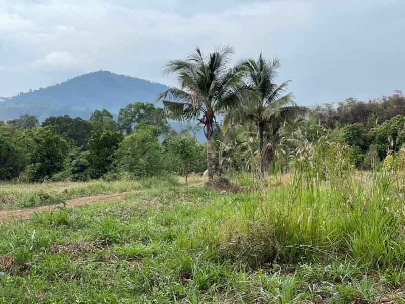 (English) Land for Sale at Road to Teuk Chhou Kampot