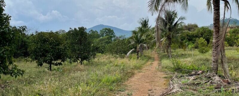 photo_2021-05-04_09-22-57