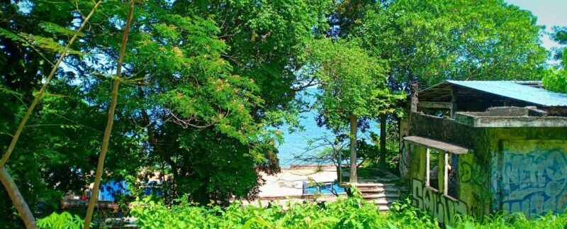 photo_2021-05-10_19-53-35