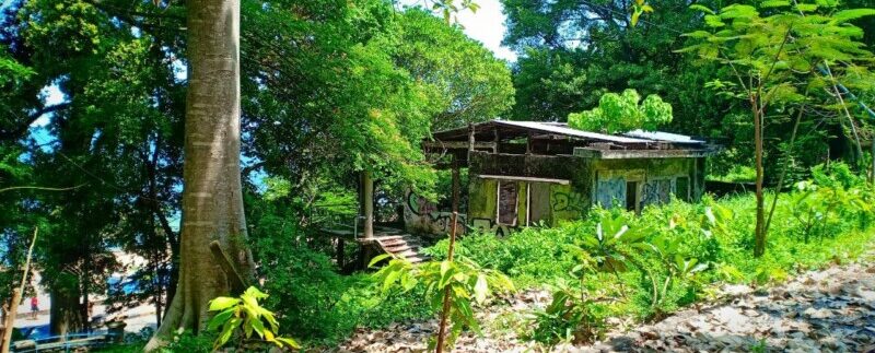 photo_2021-05-10_19-53-36