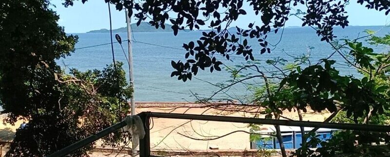 photo_2021-05-10_19-53-42