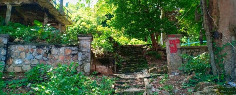 photo_2021-05-10_19-53-44