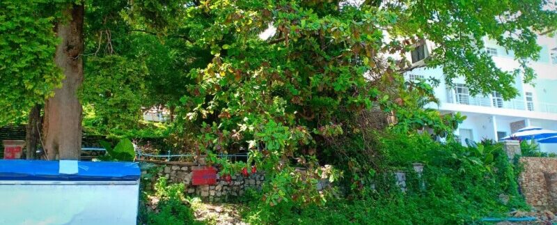 photo_2021-05-10_19-53-46 (2)