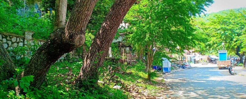 photo_2021-05-10_19-53-47